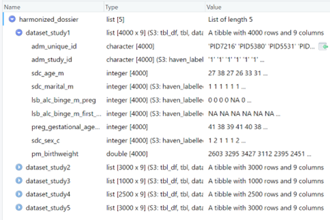 Information about the example harmonized dossier provided in the RStudio viewer.
